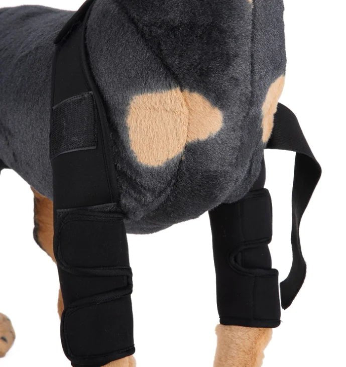 Dog Knee Brace and Leg Protector for Injury Recovery - SJ MART