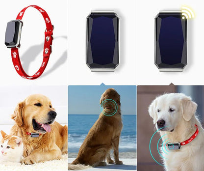GPS Pet Tracker Collar - Multi - Functional Dog Locator - SJ MART