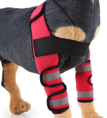 Dog Knee Brace and Leg Protector for Injury Recovery - SJ MART