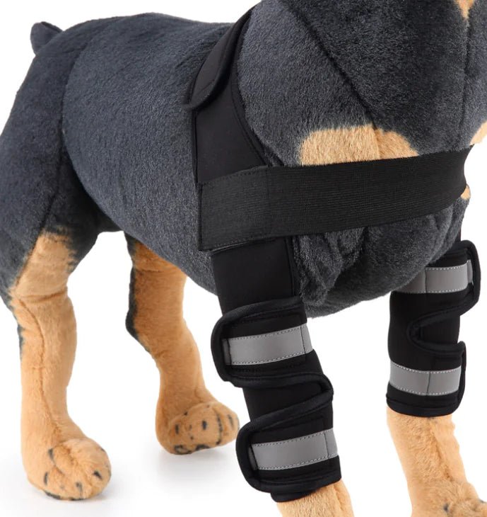 Dog Knee Brace and Leg Protector for Injury Recovery - SJ MART
