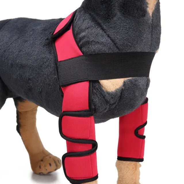 Dog Knee Brace and Leg Protector for Injury Recovery - SJ MART