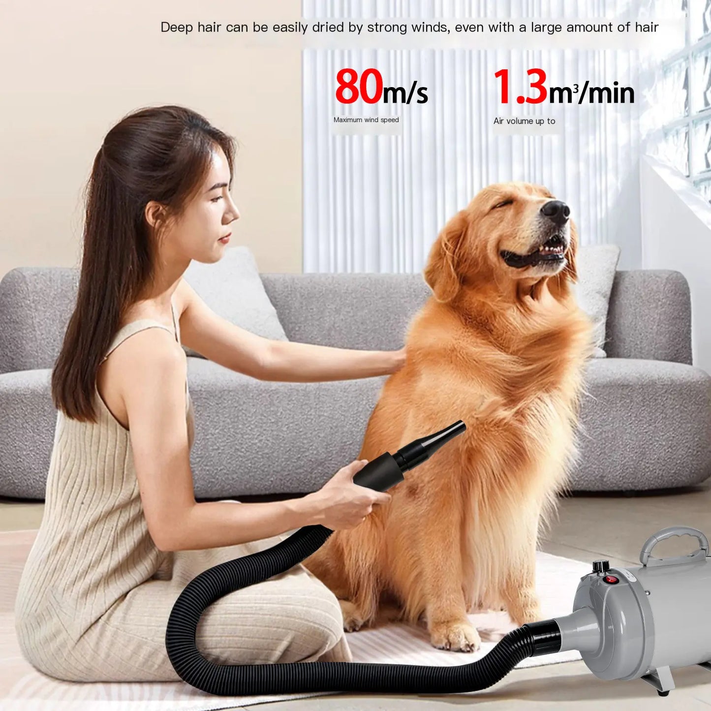 High - Power Pet Blow Dryer for Large Dogs - SJ MART